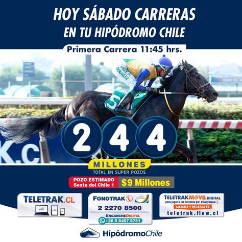 sportsbook hipodromo|Programas .